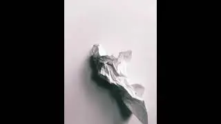 bw paper
