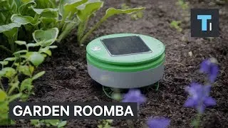 This Roomba for your garden can be your weed warrior