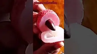 How To Cut Lychee / Fresh Fruit Cutting