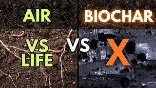 Worm Castings vs Biochar The Soil Aeration Truth NO ONE Explains