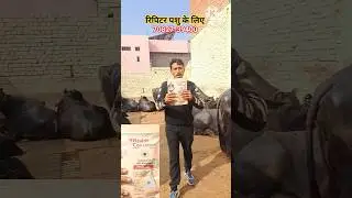 रिपिटर पशु व समय पर पशु को गयाबीन करवाने के लिए [Vhealth Conceiver]