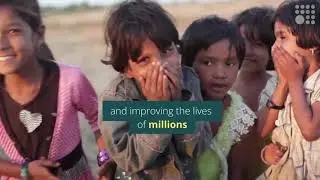 The Million Lives Collective