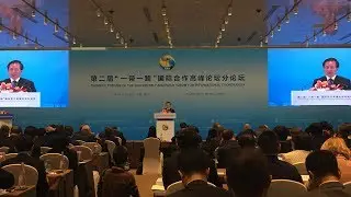 Discussions on environmental protection at BRF 2019