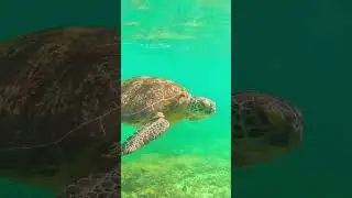 TRAVEL TO TIME location  