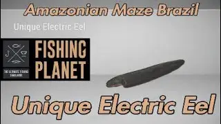Unique Electric Eel - Amazonian Maze Brazil - Fishing Planet Guide