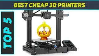 Top 5 Best Cheap 3D Printers in 2024