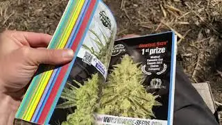 Cannabis Cultivation Book: Marijuana Horticulture The Indoor/Outdoor Medical Grower&rsquo;s Bible