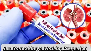 Kidney Function Tests Exposed| #renalfunctiontests