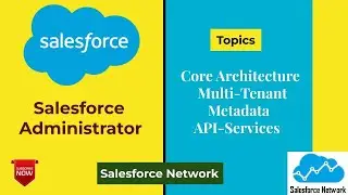 Core Architecture of Salesforce, Multi-tenant, Metadata, API-Services