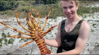Crayfish Diving the North East of Tasmania