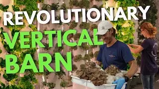 Inside Our Vertical Barn: Where Hyper-Local Farming Meets Gourmet Food