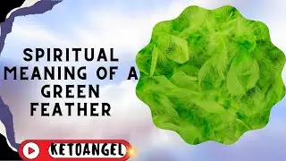 The Spiritual Meaning of a Green Feather: A Sign of Healing and Abundance