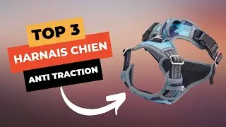 🔥 TOP 3 : Meilleur Harnais Chien Anti Traction 2023