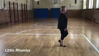 Little Rhumba Line Dance (NUR DIE SCHRITTE)