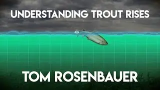 Understanding Trout Rises with Tom Rosenbauer