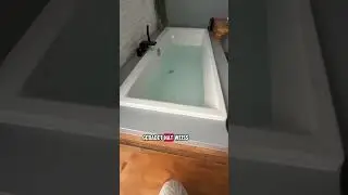 #wasseeblau #wasserfarbe #poolfarbe #wasser #blau #badewanne #comedy