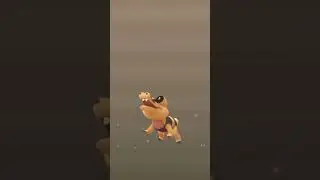 #551 Sandile In Pok&eacute;mon Go Evolve to Krokorok and Krookodile 12km Egg