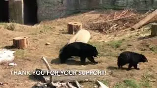 Support your SFZoo!