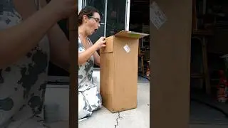 🌿 My First LIVE PLANT Order!! #unboxing #plants #shorts #gardening  @PeteKanarisGreenDreamsFL