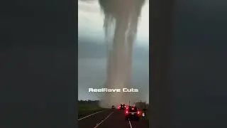 Up Close and Dangerous!