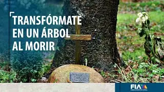 Urnas ecol&oacute;gicas: tu muerte dar&aacute; paso a la vida de un &aacute;rbol