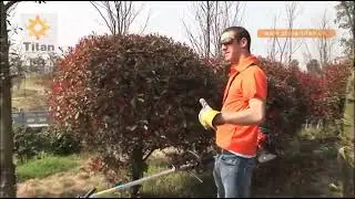 Gasoline &Petrol Multi tools Pruner+Hedge trimmer