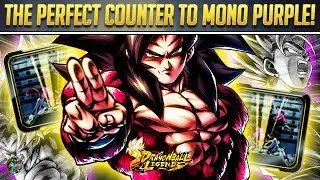 THE PERFECT COUNTER TO THE MONO PURPLE META! LEGENDS DID THIS PERFECTLY! + ZAKASHI UPDATE!