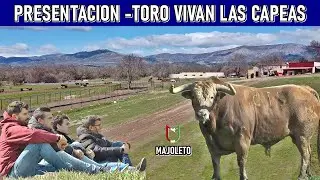 💎4 AMIGOS💎 PRESENTAN A