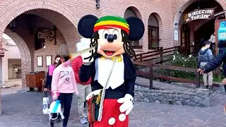 Conocemos al MICKEY HIPPIE