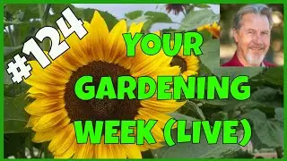 Dealing with Gardening Burnout (Q&A)