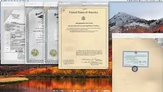 How to Legalize a Florida Marriage Certificate at Chinese Embassy