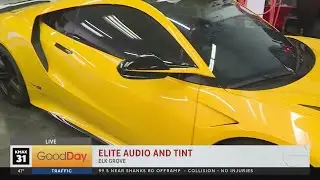 Elite Audio and Tint