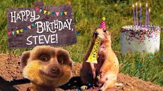 Happy Birthday! Steve