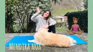 Haurrentzako YOGA 🧘🏽&zwj;♀️ - Mendira noa!