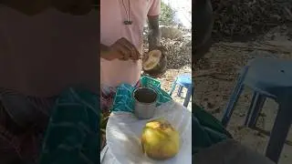 Amazing Palm juice - ice apple drink #shorts