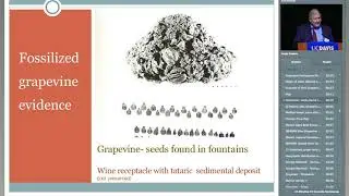 Important Portuguese Grape Varieties