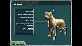 Astro the Dog and Paddy the Cat (Emergency Case!) | Pet Vet (PC)
