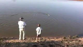 Crocodile destroys RC boat
