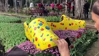 Flower Festival (Part 1) - Taipei, Taiwan