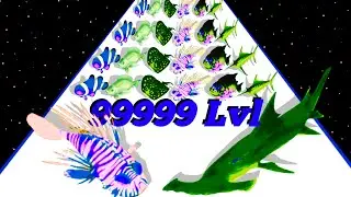 Max Level Fish Rush _Level Up Fish 3D Gameplay (New Update) 2024