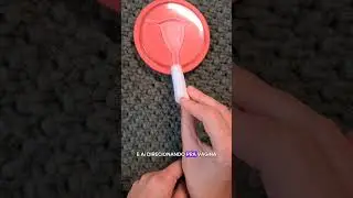 Como colocar e tirar o absorvente interno