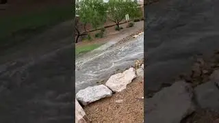 &ldquo;Rains in Vegas once&rdquo;