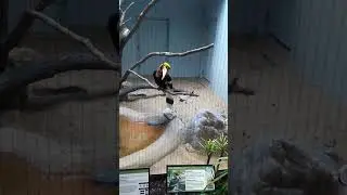 My trip to the zoo