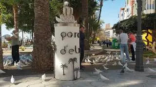 BENIDORM DOVE PARK