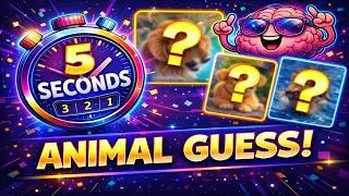 5 Seconds Animal Guess Challenge!