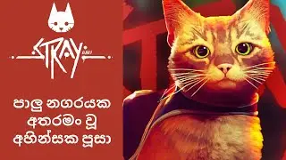 Stray : Story Of A Lost Cat | පූසෙක්.... | No Commentary Gameplay (Sinhala)
