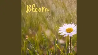Bloom (feat. HZL)