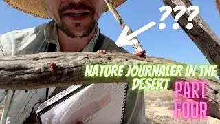 Nature Journaler in the Desert Alone: Part Four