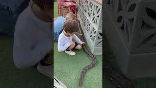 Нужно проскользнуть в безопасное место.