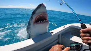 GREAT WHITE ATTACKS MY BOAT! (Bahamas Fishing Gone WRONG!)